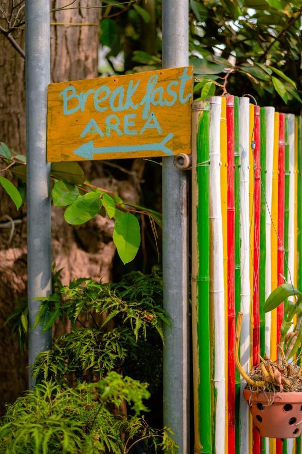 5 Coconut Villa Hoi An Dış mekan fotoğraf